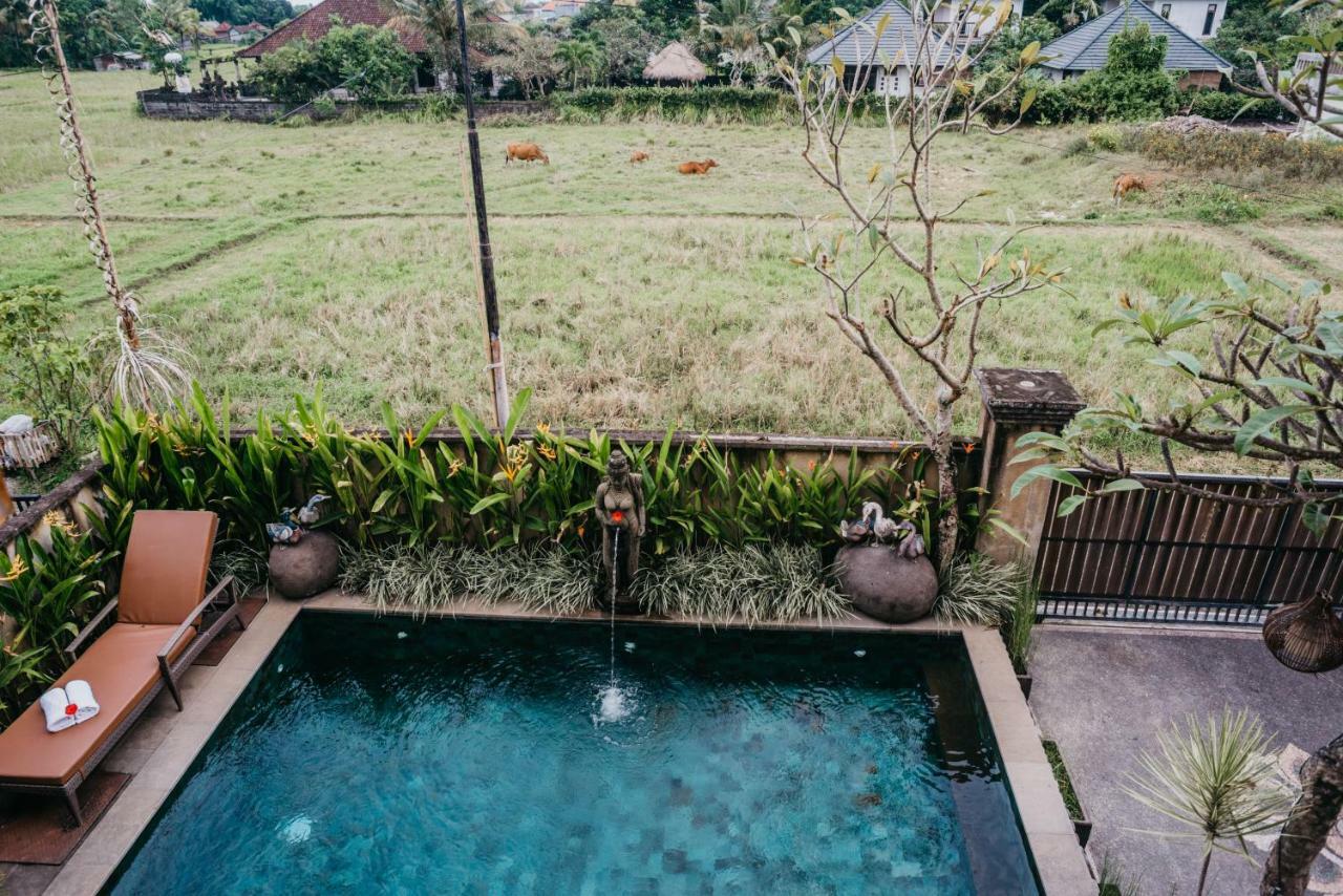 Mawar Ubud (Bali)